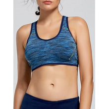 Padded High Impact Sports Bra