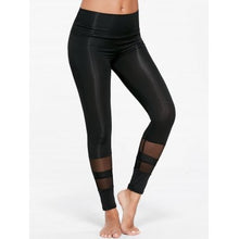 Sheer Mesh Insert Sports Tights