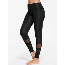 Sheer Mesh Insert Sports Tights